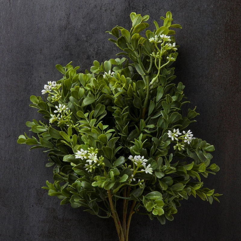 Boxwood & Berry Bush by Ashland®