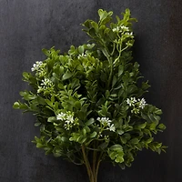 Boxwood & Berry Bush by Ashland®