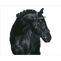 Diamond Dotz® Intermediate Black Sheen Diamond Painting Kit