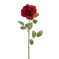 12 Pack: Dark Red Princess Rose by Ashland®