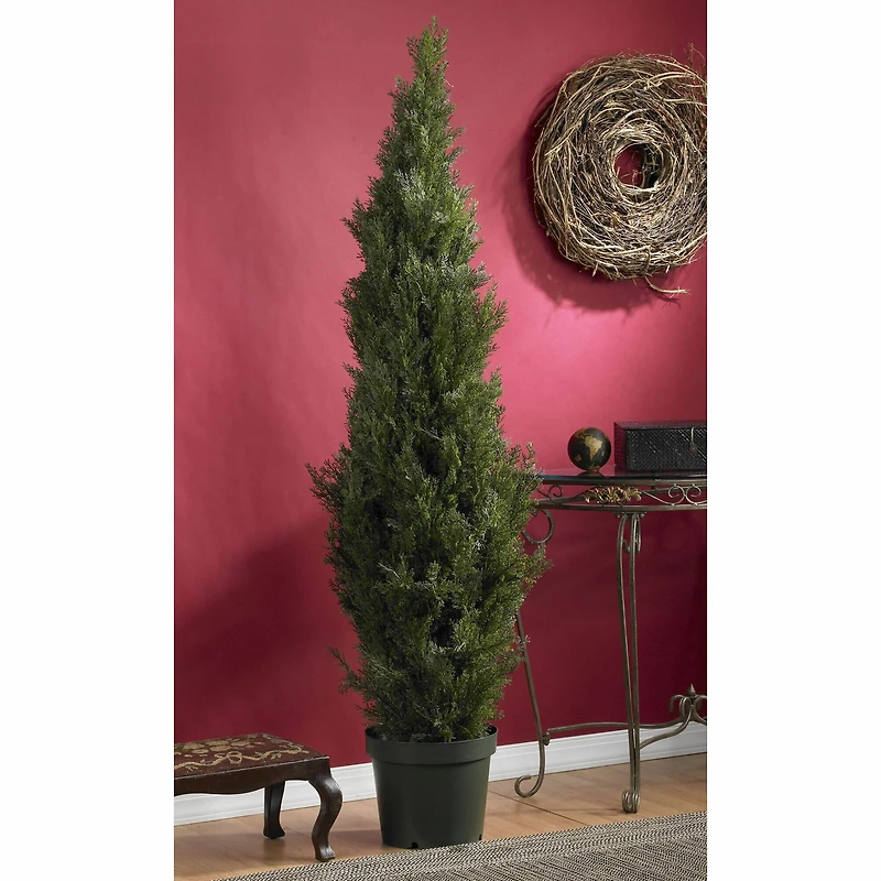6ft. Cedar Pine Tree