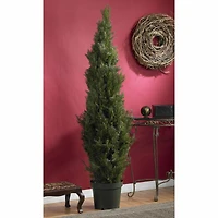 6ft. Cedar Pine Tree