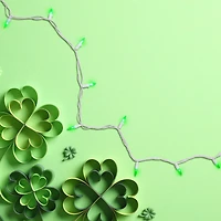 50ct. Mini LED Christmas Lights