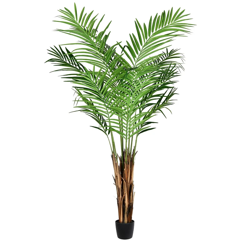 5ft. Potted Giant Areca Palm Tree