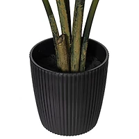 4ft. Potted Travellers Palm Tree