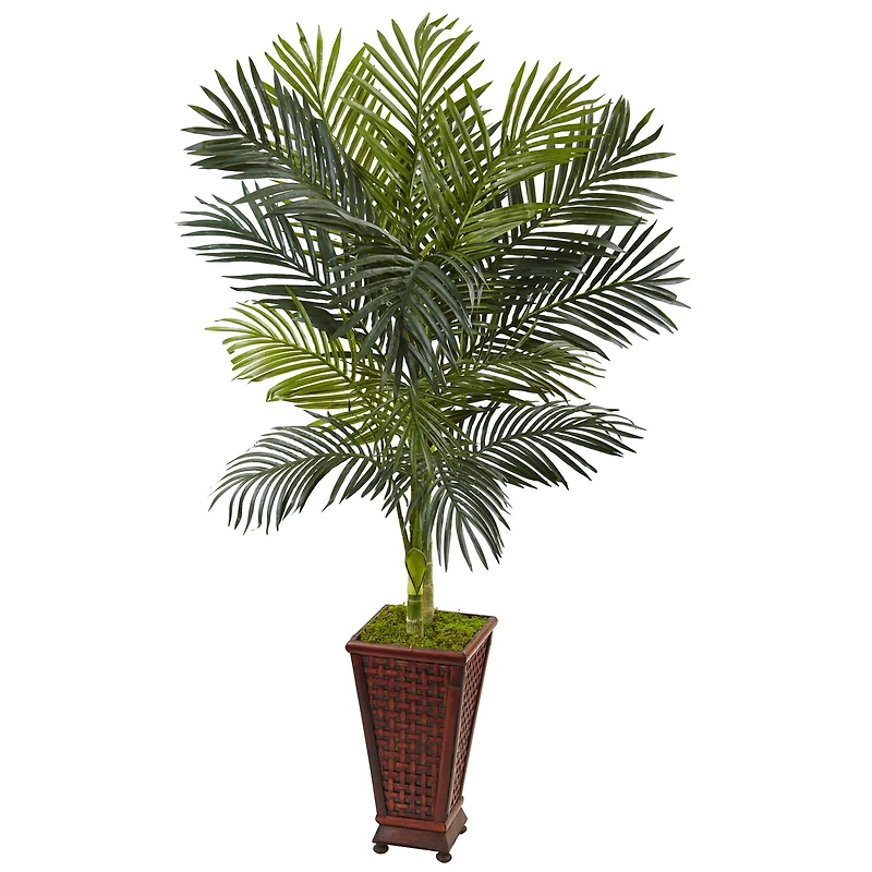 5ft. Golden Cane Palm Tree in Decorative Planter