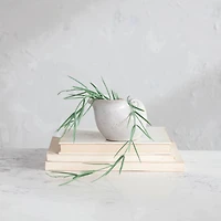 Hello Honey® 5" White Stoneware Shell Planter