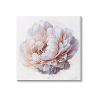 Stupell Industries Detailed Peony Petals Canvas Wall Art