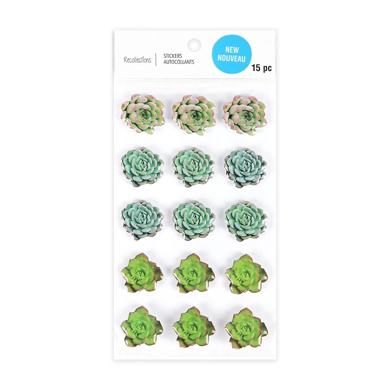 Succulent Stickers by Recollections™