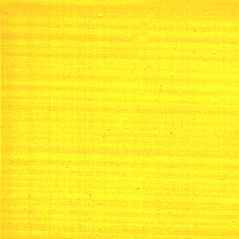 Golden® 2oz. SoFlat Matte Acrylic Paint