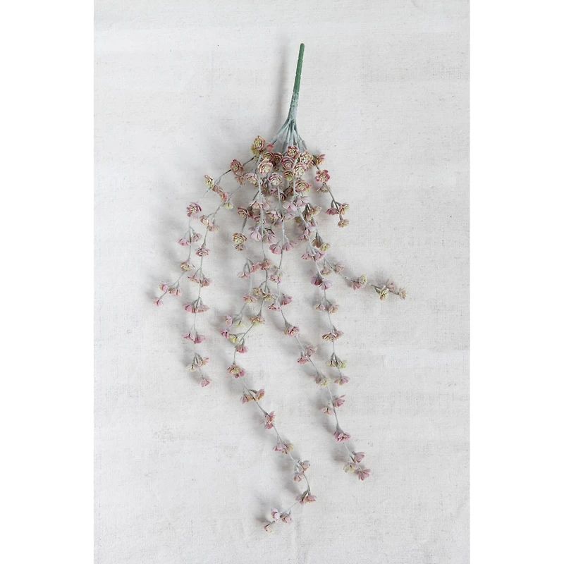 Hello Honey® Green & Light Pink Trailing Succulent