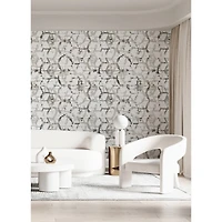 Katie Hunt Dove Gray Hex-A-Gone Wall Mural