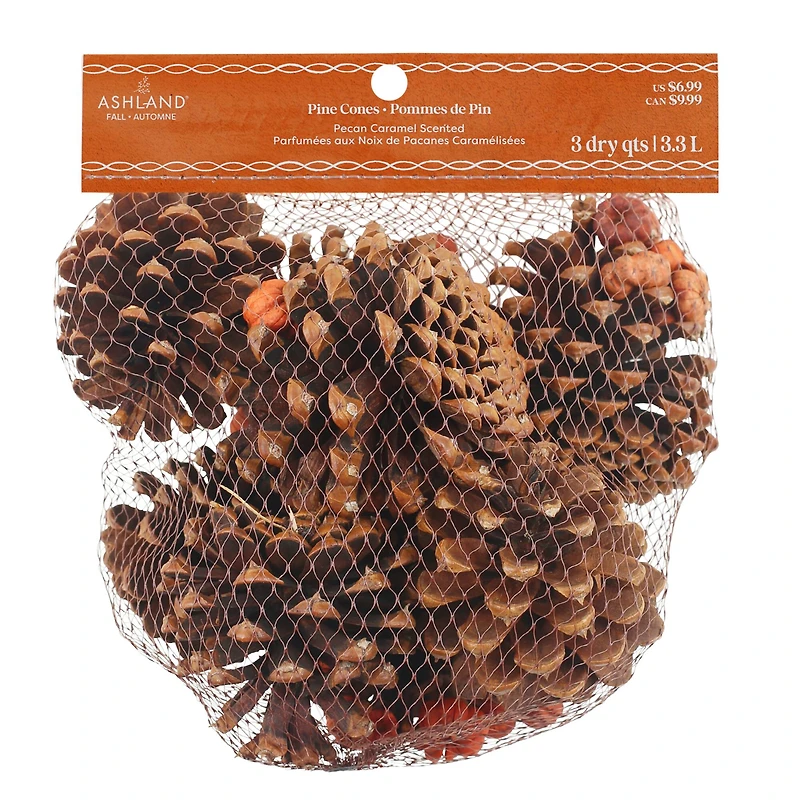 3qt. Pecan Caramel Scented Pine Cones by Ashland®