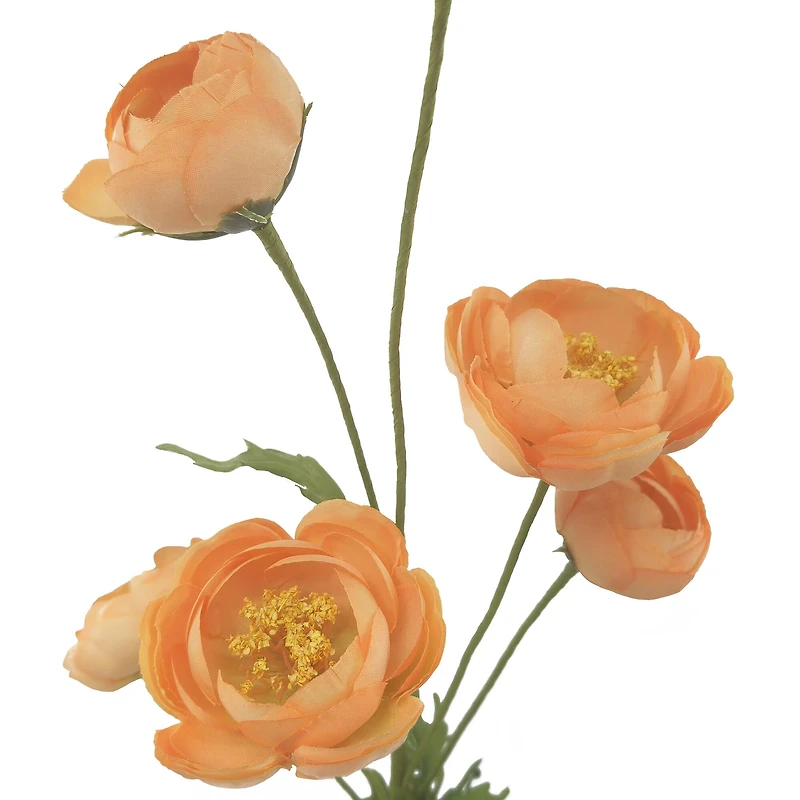 32" Ranunculus Stem with Leaves by Ashland