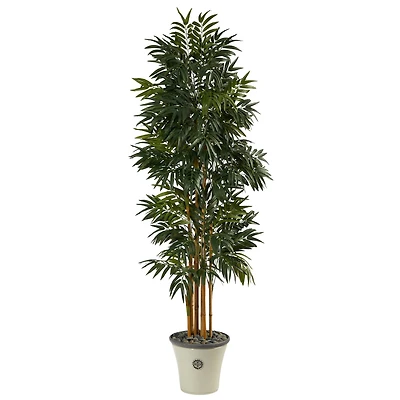 6ft. Phoenix Palm Tree in Decorative Planter