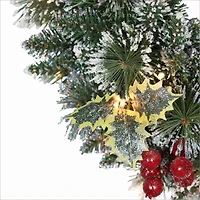 24" Pre-Lit Snowy Silverton Pine Wreath