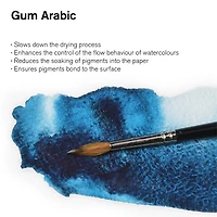 6 Pack: Winsor & Newton™ Gum Arabic Watercolor Medium, 75mL