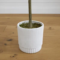 6ft. Artificial Eucalyptus Tree with White Decorative Planter