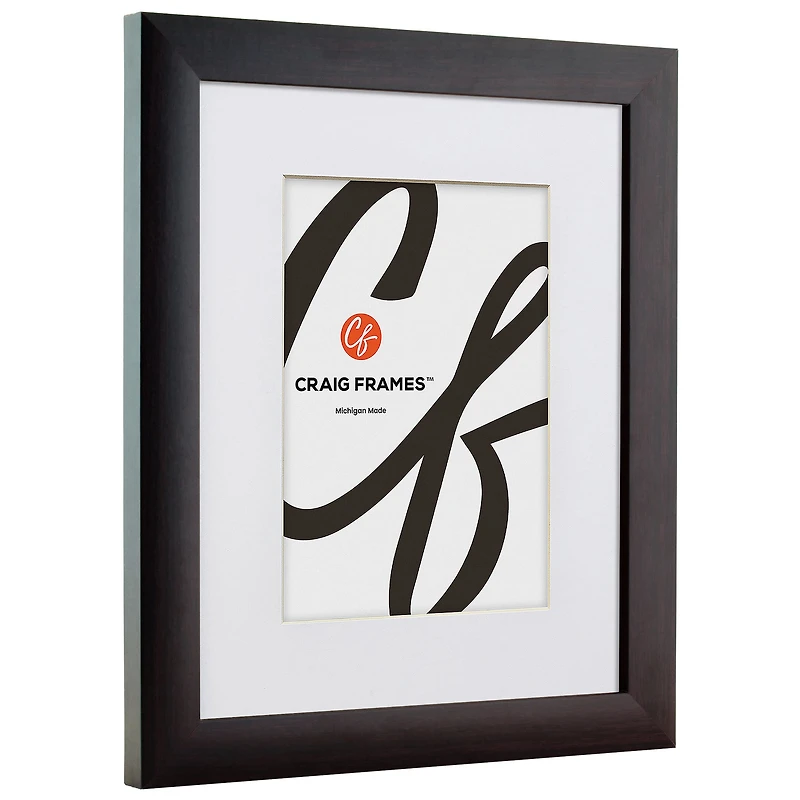 Craig Frames Contemporary Brazilian Walnut Picture Frame with Mat