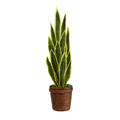 2.5ft. Snake Plant in Decorative Basket Planter