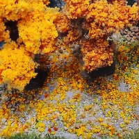 JTT Scenery Products Early Fall Orange Foliage