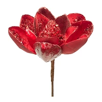 29" Red Magnolia Stem, 6ct.