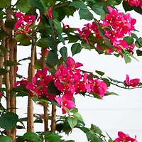 5ft. Artificial Deluxe Bougainvillea Tree