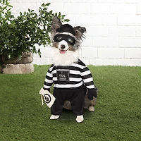 Robber Dog Costume by Ashland®