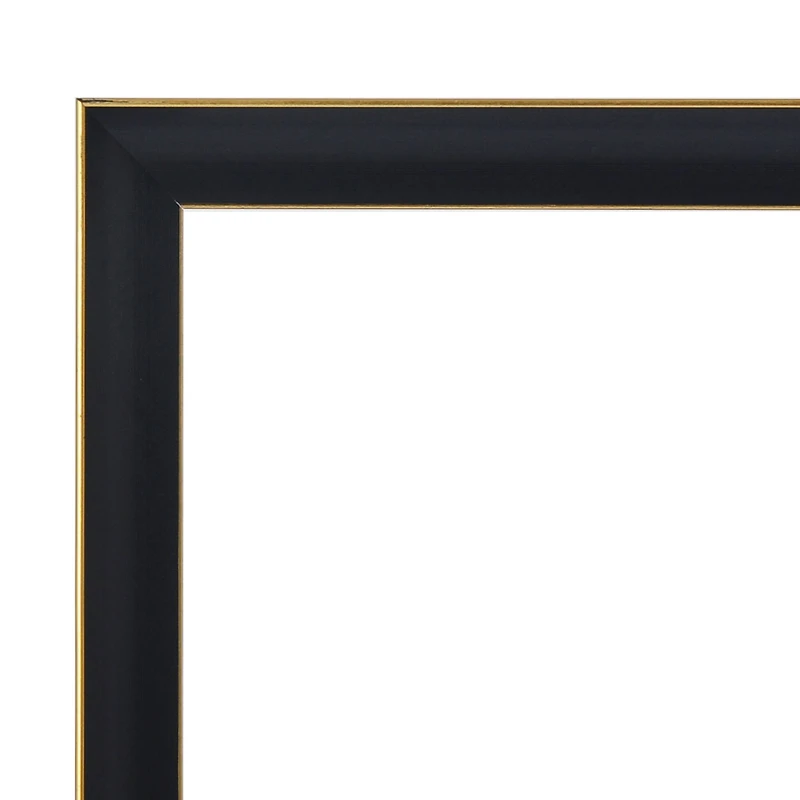 Home Black & Gold Line Wall Frame by Studio Décor