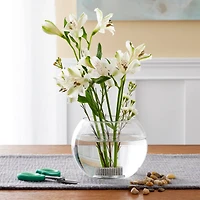 12 Pack: Pin Frog by Ashland™