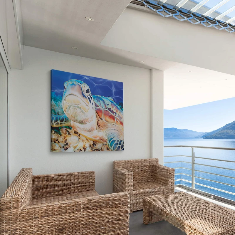 Sea Turtle Outdoor Canvas Art Print - 35"x35"