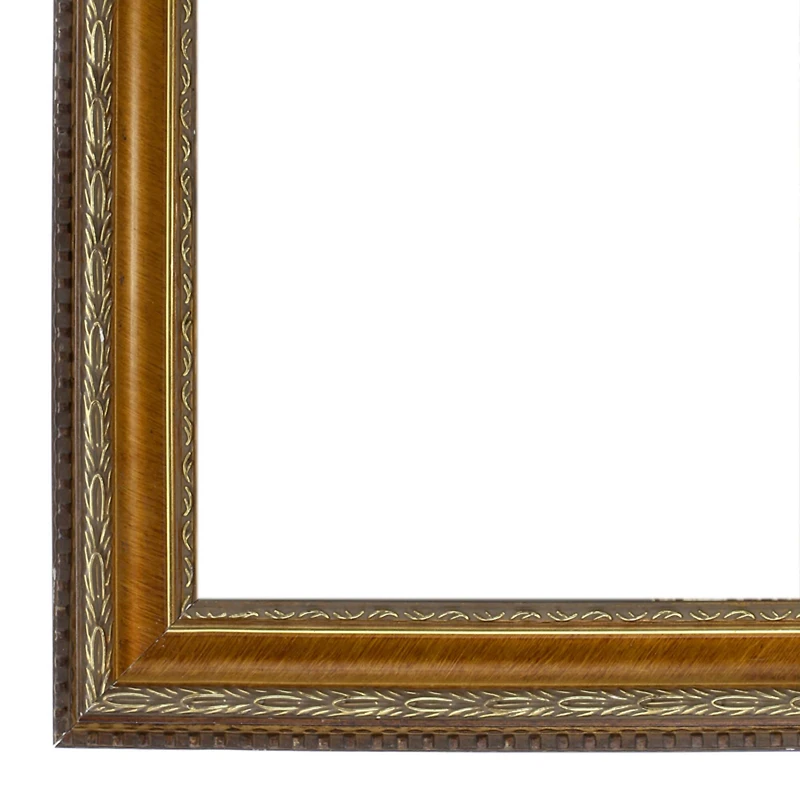 Home Gold Pompeii Wood Wall Frame by Studio Décor®