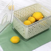 Martha Stewart Large Fresh Keeper Container Set
