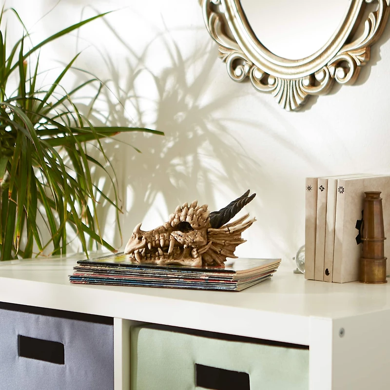 12" Snarling Dragon Skull Treasure Trove Box