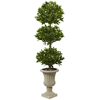 5.5ft. Triple Bay Leaf Topiary Tree in Urn