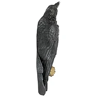 Design Toscano 18" The Raven's Perch Wall Sculpture