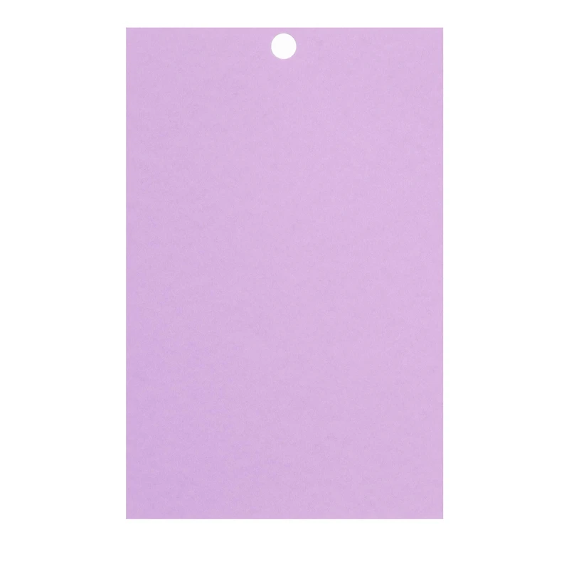 Purple Passion 4.5" x 7" Cardstock Paper by Recollections™, 100 Sheets
