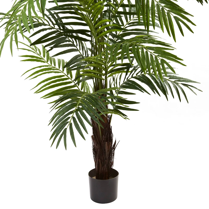 6ft. Potted Green Areca Palm Tree