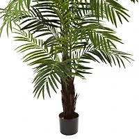 6ft. Potted Green Areca Palm Tree
