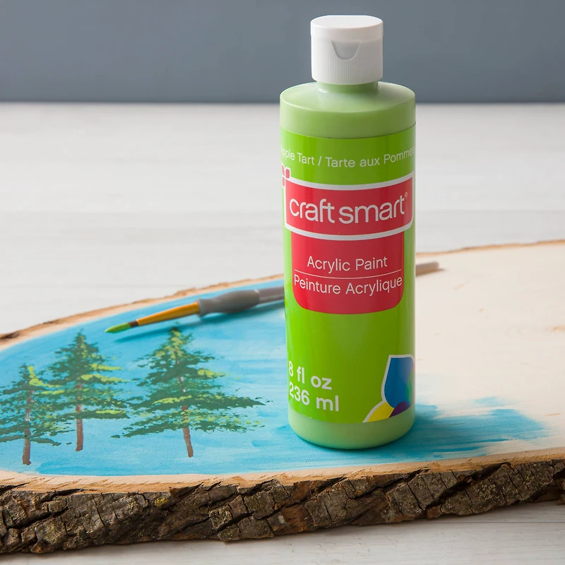 8oz. Acrylic Paint by Craft Smart