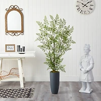 5ft. Ruffle Fern Tree in Gray Planter