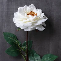 Orlane Rose Stem by Ashland®