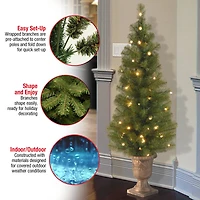 4ft. Pre-Lit Montclair Spruce Entrance Artificial Christmas Tree with Clear Lights