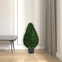 3ft. Potted Cedar Teardrop Shaped Bush