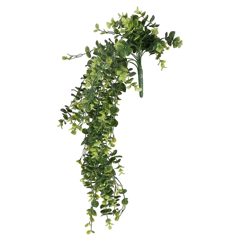 Green Hanging Eucalyptus Bush by Ashland®