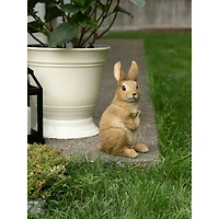 11" Curiously Cute Bunny Garden Figurine