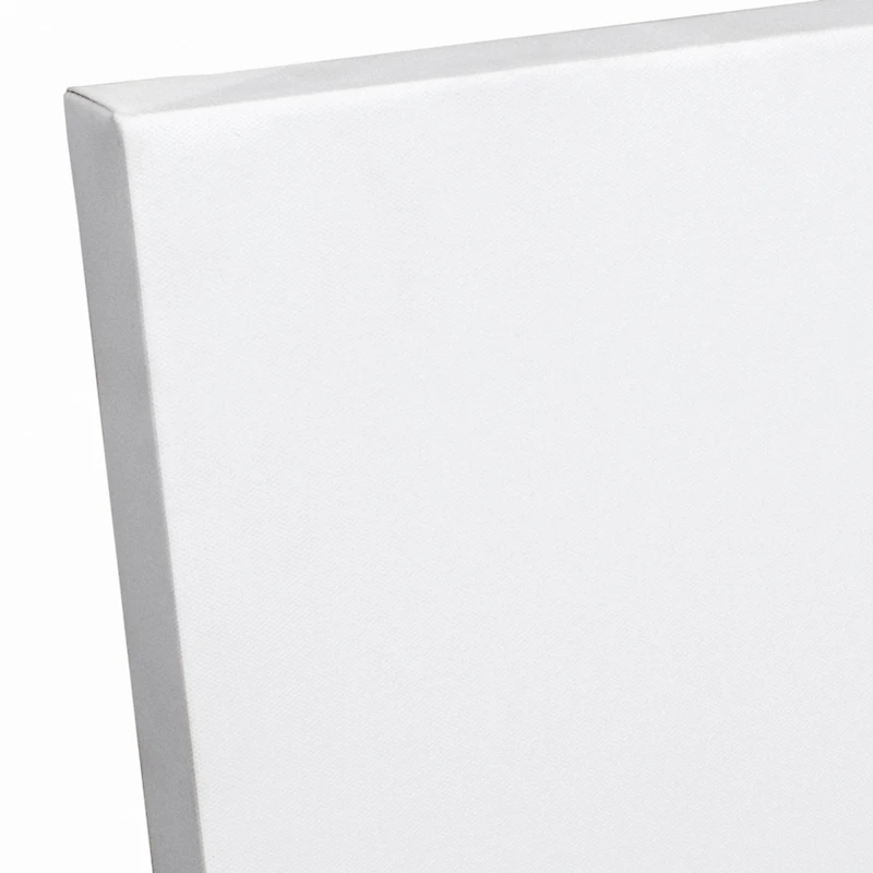 Cruisin Animals 20" x 20" Canvas Wall Art