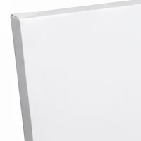 Cruisin Animals 20" x 20" Canvas Wall Art