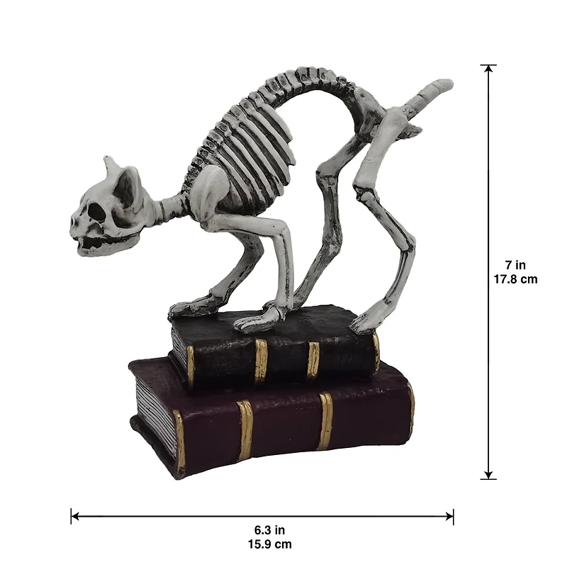 7" Skeleton Cat with Books Tabletop Décor by Ashland®