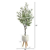 6ft. Eucalyptus Artificial Tree in White Planter with Stand